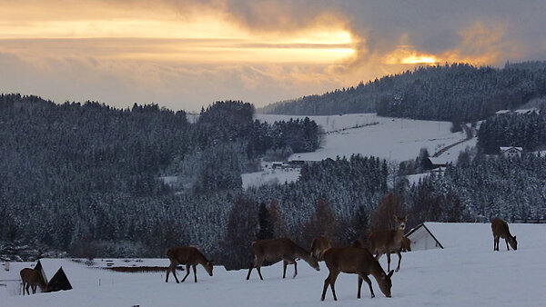 Winterferien in Bayern